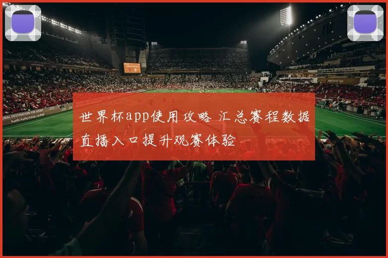 世界杯app使用攻略 汇总赛程数据直播入口提升观赛体验