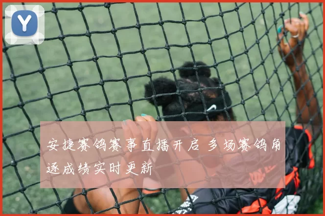 安捷赛鸽赛事直播开启 多场赛鸽角逐成绩实时更新