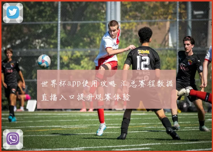 世界杯app使用攻略 汇总赛程数据直播入口提升观赛体验