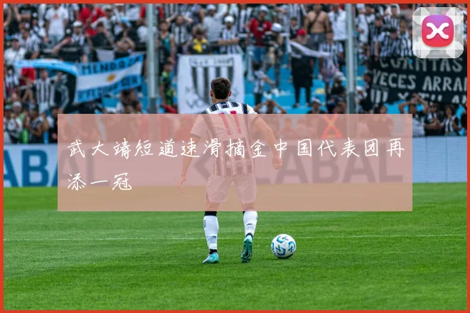 武大靖短道速滑摘金中国代表团再添一冠