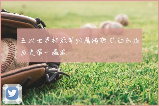五次世界杯冠军归属揭晓 巴西队成历史第一赢家